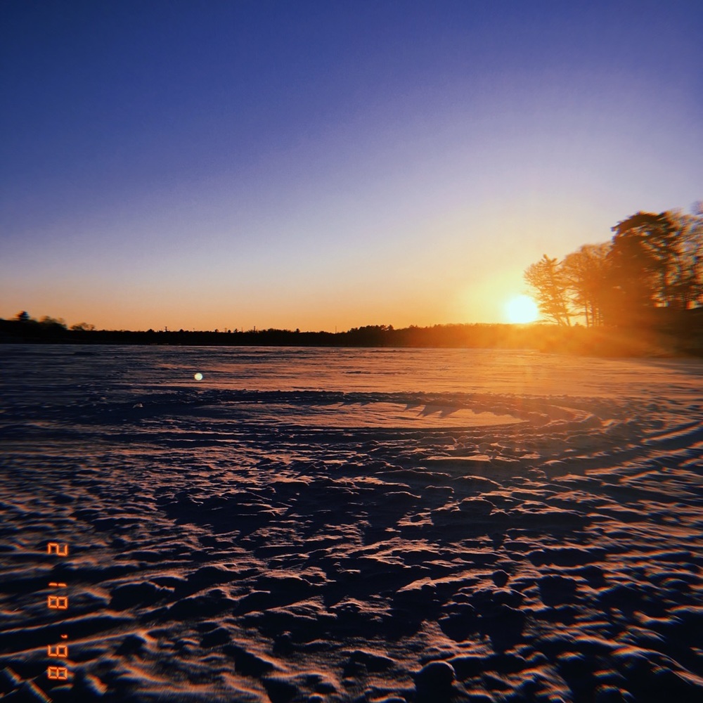 Meet your Posher, Sofia